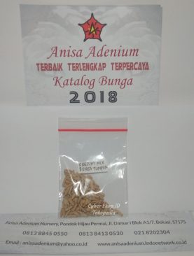 Seeds/Biji/Benih Tanaman Hias Adenium Obesum MIX Bunga Tumpuk