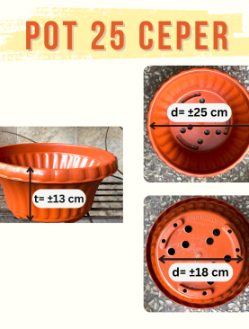 Pot Plastik Bonsai Warna Merah Bata Ukuran 25 cm