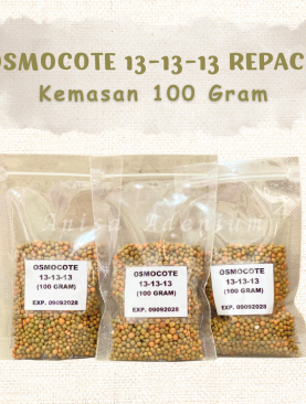 Pupuk OSMOCOTE (DEKASTAR) 13-13-13 Repack kemasan 100 gram